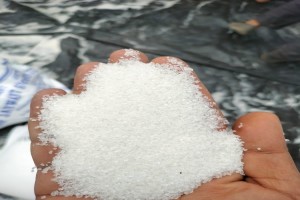 Sugar Icumsa 100 and below from India